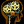 SOCIAL NETWORK LAB